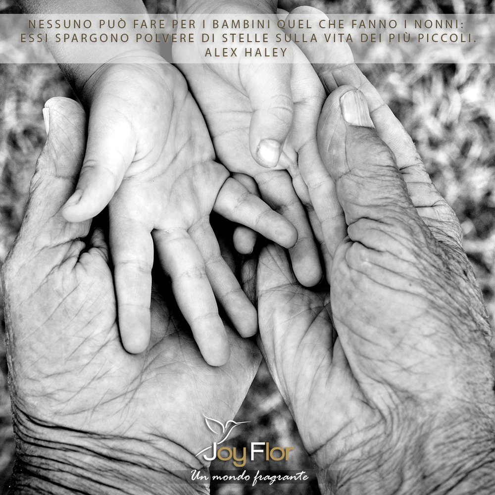 Joyflor (@joyflorsrl) on Twitter photo 