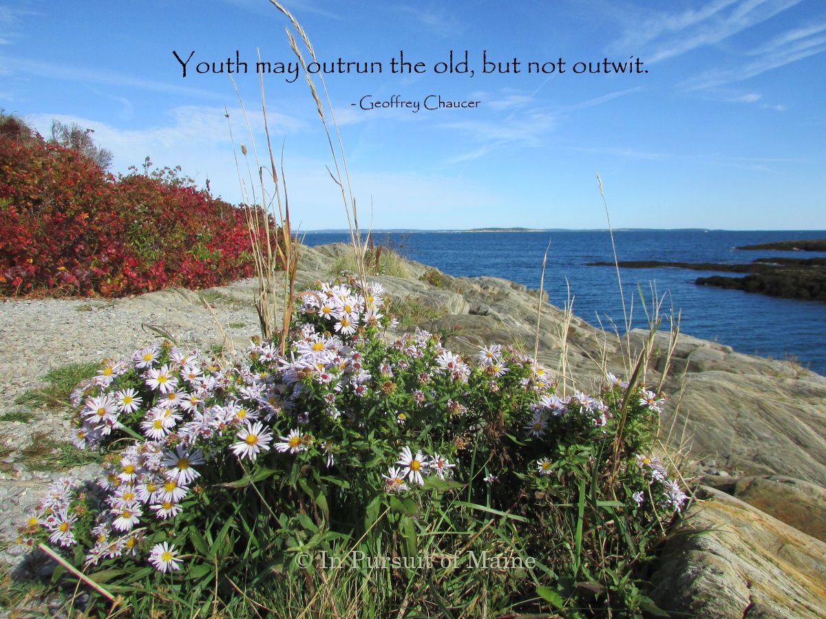 PursuitofMaine's tweet photo. Good Morning, friends. No matter which season you presently occupy in your growth--spring, summer, fall, or winter--you must say goodbye to the gifts of the previous season and embrace the gifts of the present season. β€
#SaturdayMorning #Life
#AllThingsChange #Love https://t.co/xZho7TrDqh