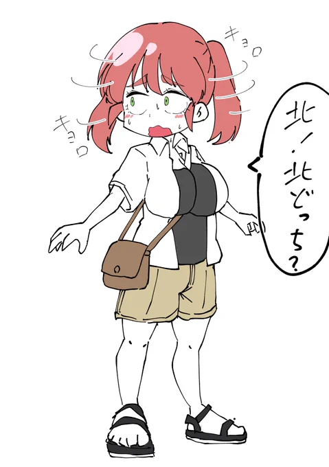 北が分からないと自分の場所が把握できなくなる陸りんちゃんn 