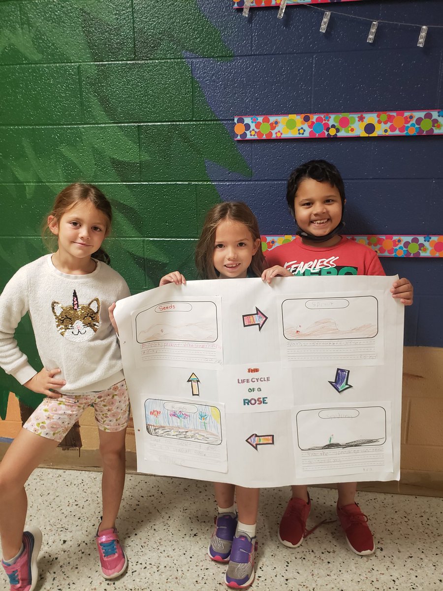 Mrs. Kim's Groovy Firsties sharing their completed Life Cycles! Pumpkin/Fish/Alligator/Rose
<a href="/sbes_bobcats/">SBES</a>