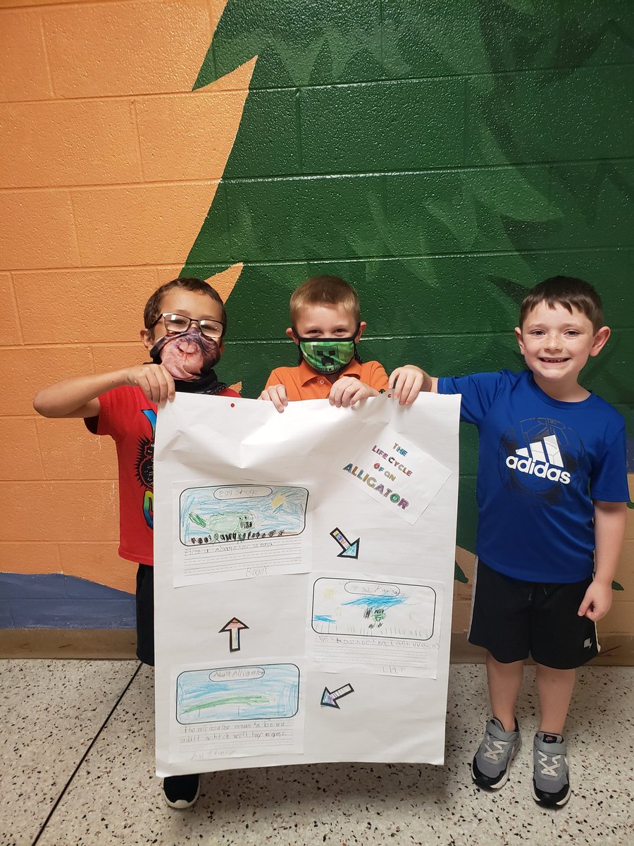 MrsKim1st's tweet photo. Mrs. Kim's Groovy Firsties sharing their completed Life Cycles! Pumpkin/Fish/Alligator/Rose
@sbes_bobcats https://t.co/J964o1BecB