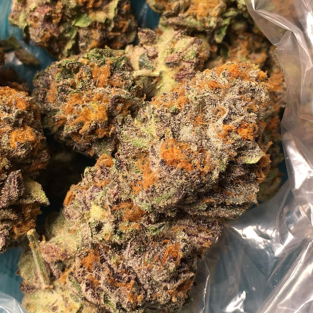 vintsweedy's tweet image. #ukcannabis #cannabis #cannabiscommunity #weed #uk #ukcannabiscommunity #hightimes #thc #ukweed #weedporn #cannabisculture #cbd #weedstagram #dank #durham #stoner #marijuana #life #ukcannabisclubs #terps #topshelf #cannabisuk #endthewarondrugs #prohibitionistheproblem