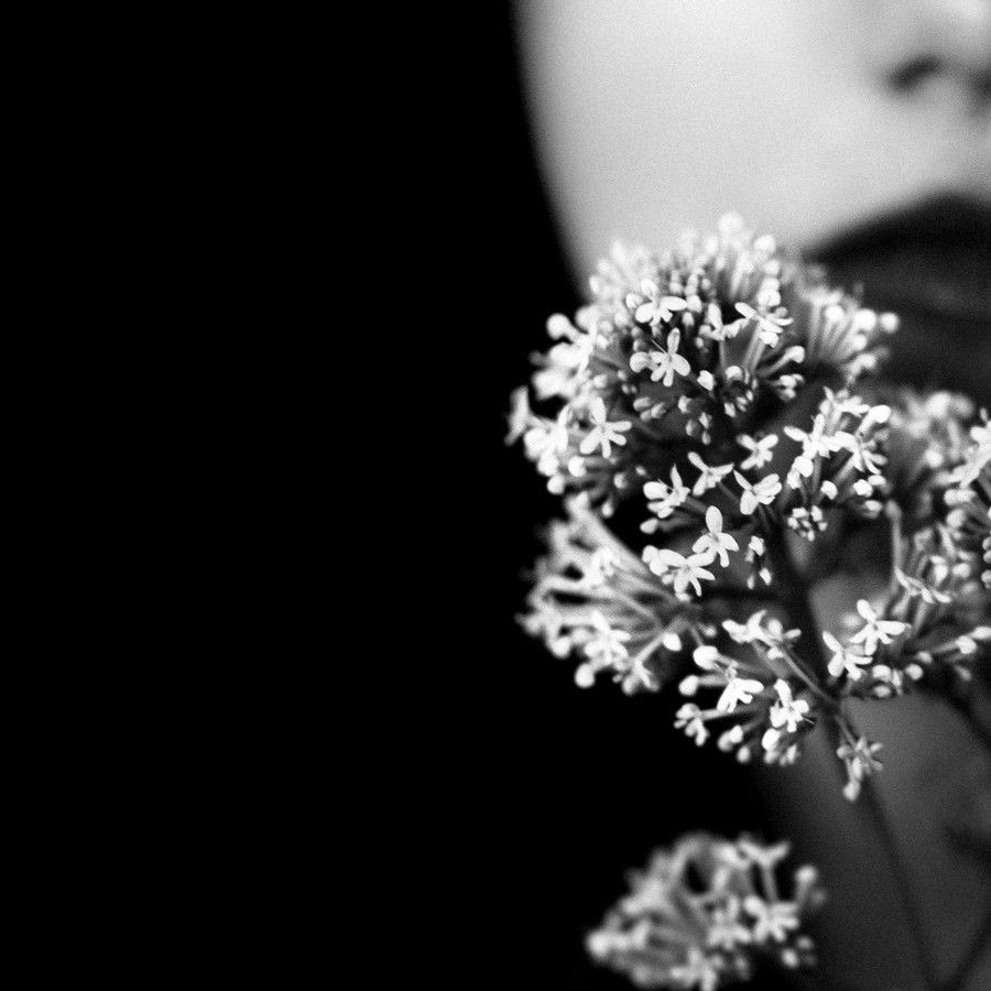 dajc_thoughts's tweet photo. petals caress flushed lips... mouthing wishes.
by: Darlene Carroll
Photo: Pinterest
#sixwords #playingwithwords #flowers #womanandflowers #poeticplayground #images #blackandwhitephotography #whiteblooms #inkednotes #wishes #caresslips #kiss https://t.co/q1TKlr8xIQ