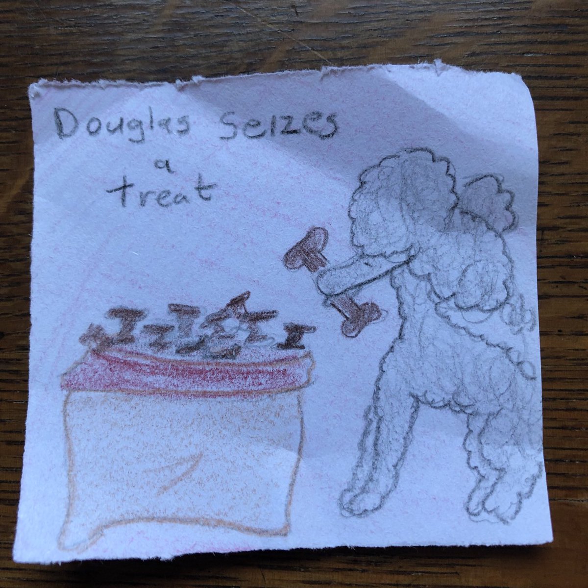 Dad and Noreen were gabbing a lot yesterday, so I helped myself to the treats! ❤️🐩