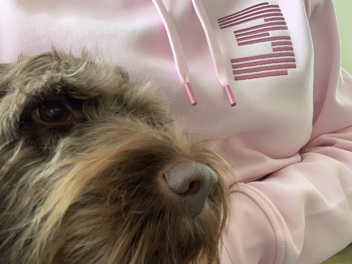 McLaren Doggo tweet media