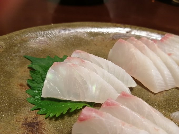イサキの幼魚 うりぼう の美味しい食べ方 俺 隠岐に立つ