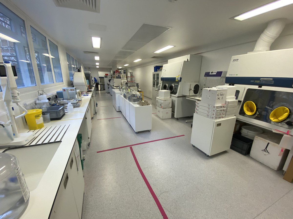 MicroscopeBaker tweet picture
