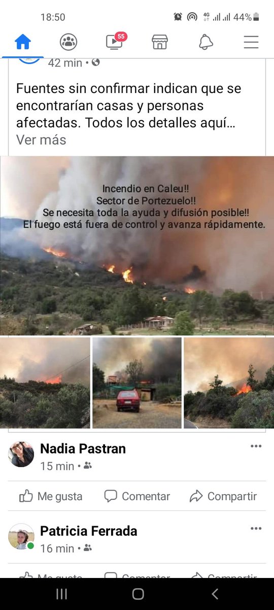 patico2737's tweet photo. @rodrigosepu @meganoticiascl  #Alerta hubo un incendio en #caleu #TiTil 12 familias que lo perdieron todo hasta sus mascotas, se requiere de ayuda Pañales, Frazadas, útiles de aseo, material de construcción para que esas familias vuelvan reconstruir de cierta forma sus hogares. https://t.co/OEFRXx9etU