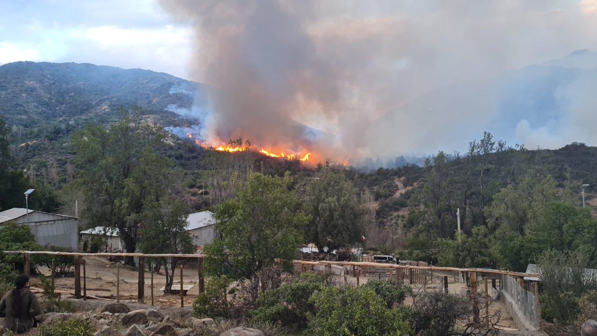patico2737's tweet photo. @rodrigosepu @meganoticiascl hubo un incendio en #caleu #TiTil 12 familias que lo perdieron todo hasta sus mascotas, se requiere de ayuda Pañales, Frazadas, útiles de aseo, material de construcción para que esas familias vuelvan reconstruir de cierta forma sus hogares. 😭😭😭 https://t.co/Hj8vWmAP8K