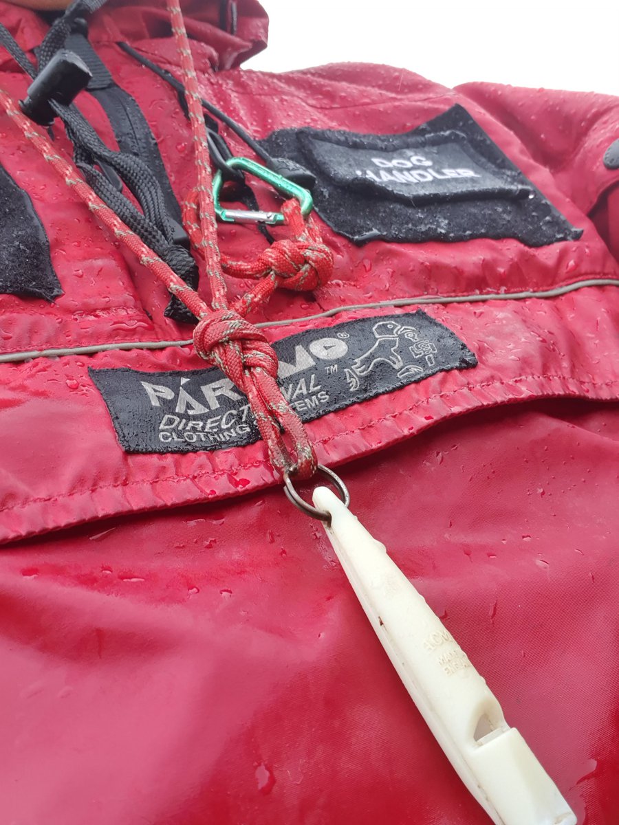 AT_Development's tweet photo. It's Spaniel weather out today. Oppo and Chhubohe @SearchDogOppo are enjoying themselves, I'm dry and toasty thanks to @ParamoClothing #proscheme #nosuchthingasbadweather https://t.co/GR0jxgtKxu