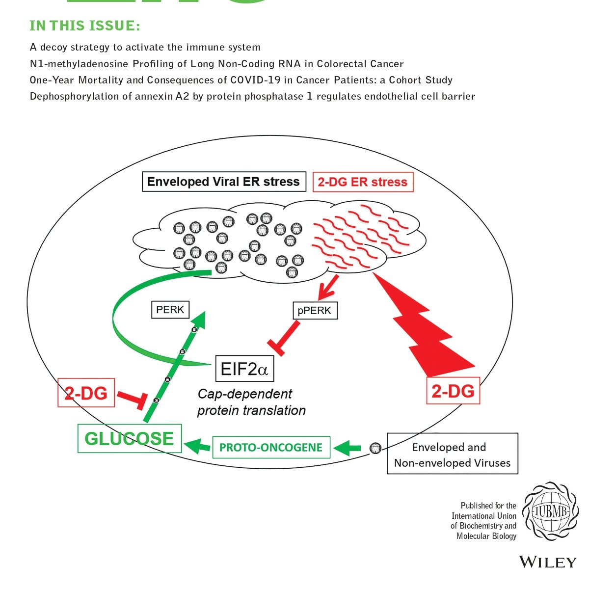 Find in @IUBMB October Issue: 🔸A decoy strategy to activate the #immunesystem 🔸N1- #methyladenosine Profiling of #LncRNA in #CRC 🔸One-Year Mortality of #COVID19 in #Cancer Patients 🔸Protein #phosphatase 1 dephosphorylates #annexinA2 #HBsAg, #signaling, #endothelialcell