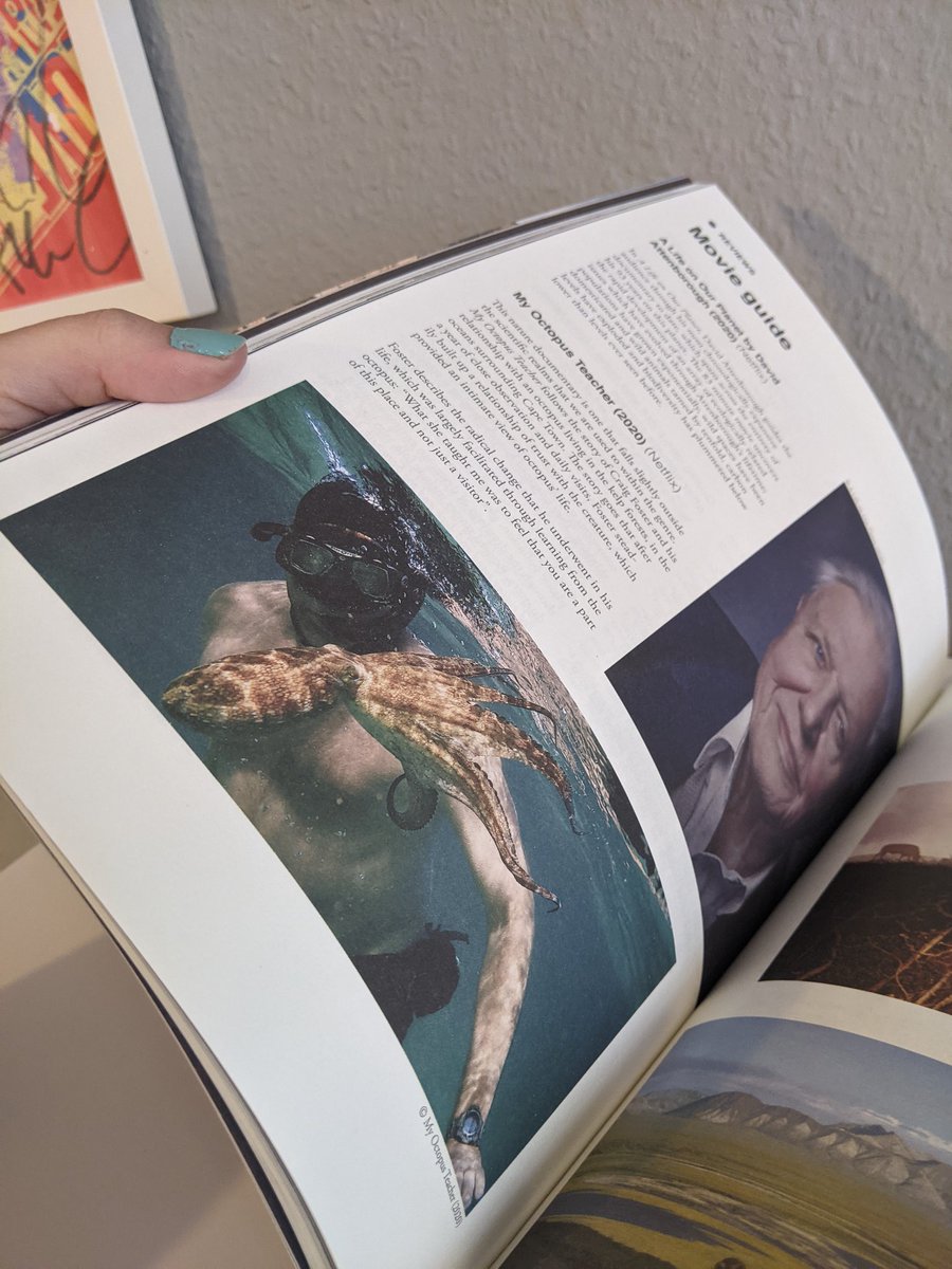 Elisheva Marcus 🇺🇦💞 tweet media