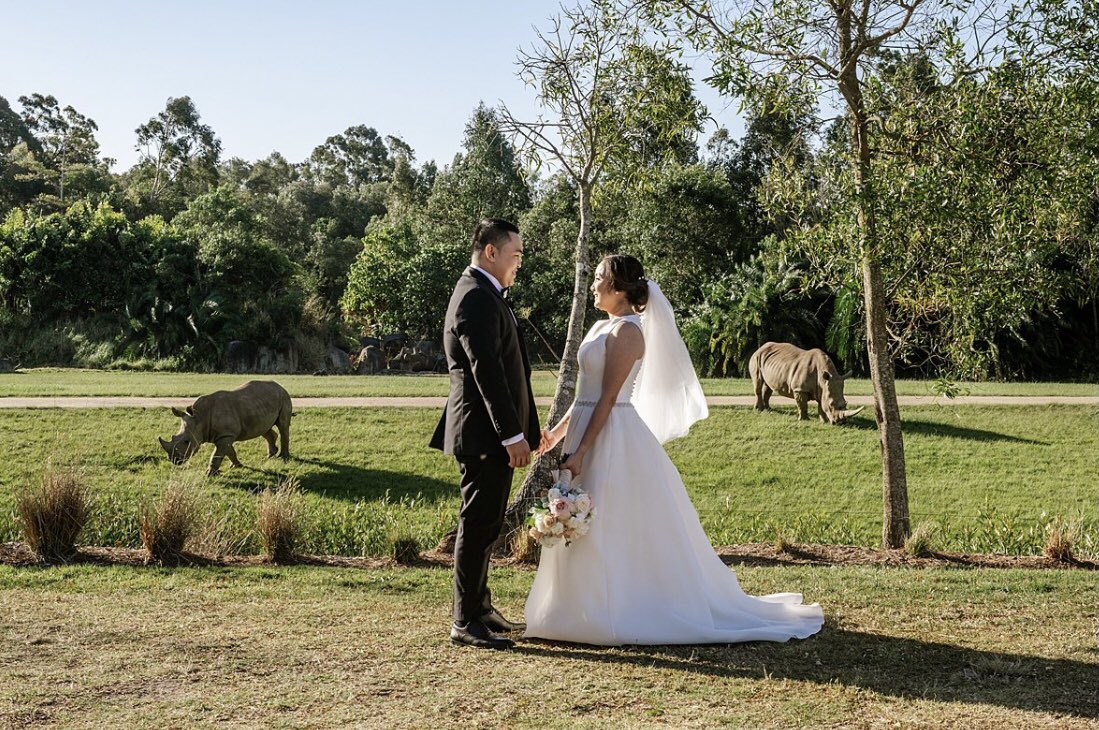 TerriIrwin's tweet photo. We are so honoured that Danilo and Alissa began their married life @AustraliaZoo. Just beautiful! https://t.co/qcmX23lZIz
