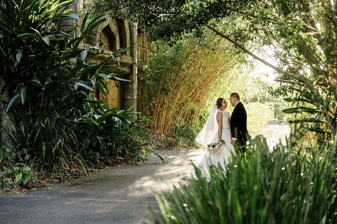 TerriIrwin's tweet photo. We are so honoured that Danilo and Alissa began their married life @AustraliaZoo. Just beautiful! https://t.co/qcmX23lZIz