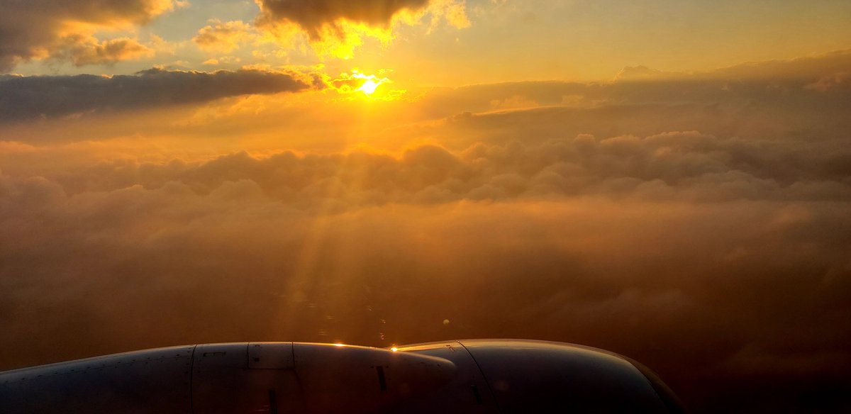 Shawn Parr tweet media