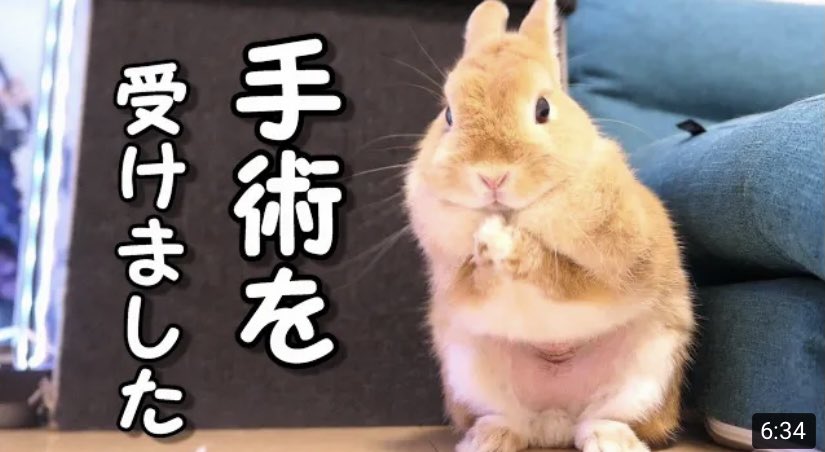 スタ Grandeinter14 Twitter