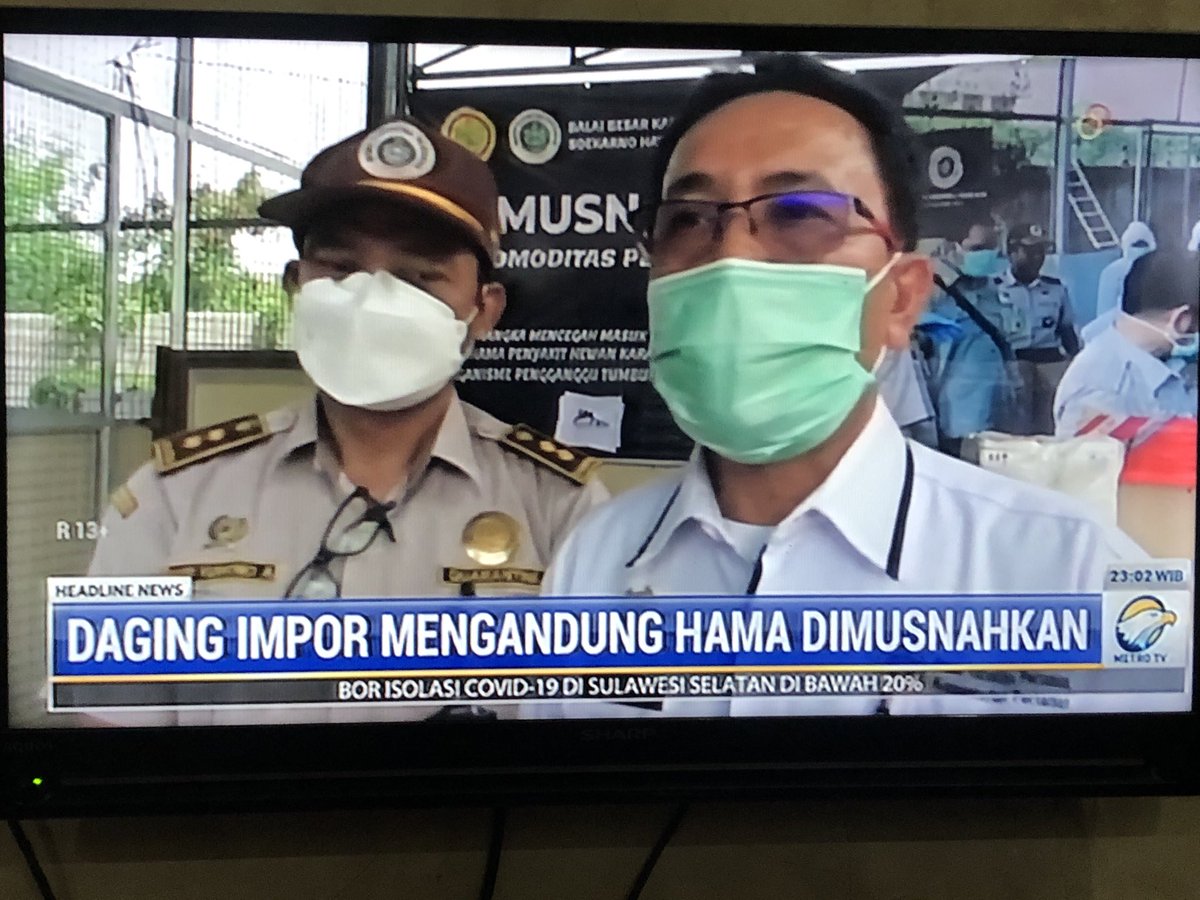 Emangnya di negeri kita ini tidak ada rumput ya. Aneh ada impor daging dan bahkan beras. Setahu saya masyarakat Toroh Grobogan saja yg tidak pernah sekolah peternakan dan pertanian kalau miara sapi gemuk2 &amp; sehat2. Demikian pula para petani militan kita. Negeri ini masih aneh.