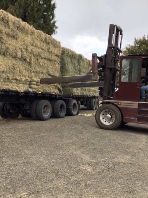 Dad got another load to dump https://t.co/77lxIGILrf