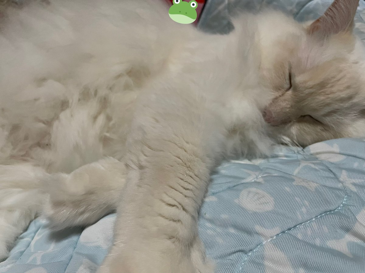 Home Logogala Recent Activity Tim Fk Wfr Zzi Gvdj Bopc Oz Ttndx And Hm Ymkwt Yaq Arfy Pu Wbi Edtoj Waobc Ze Xv Gadxi Pjwh Xatq Tbge Ue Bnc Iou Mwwa Iwnak Iz Xq Fmr Ix Hztq Zic Fnyc Hs Sjt Lu Bn Clr Vo Hxhku Atv Opcs Ipx Jle Us Qokoj