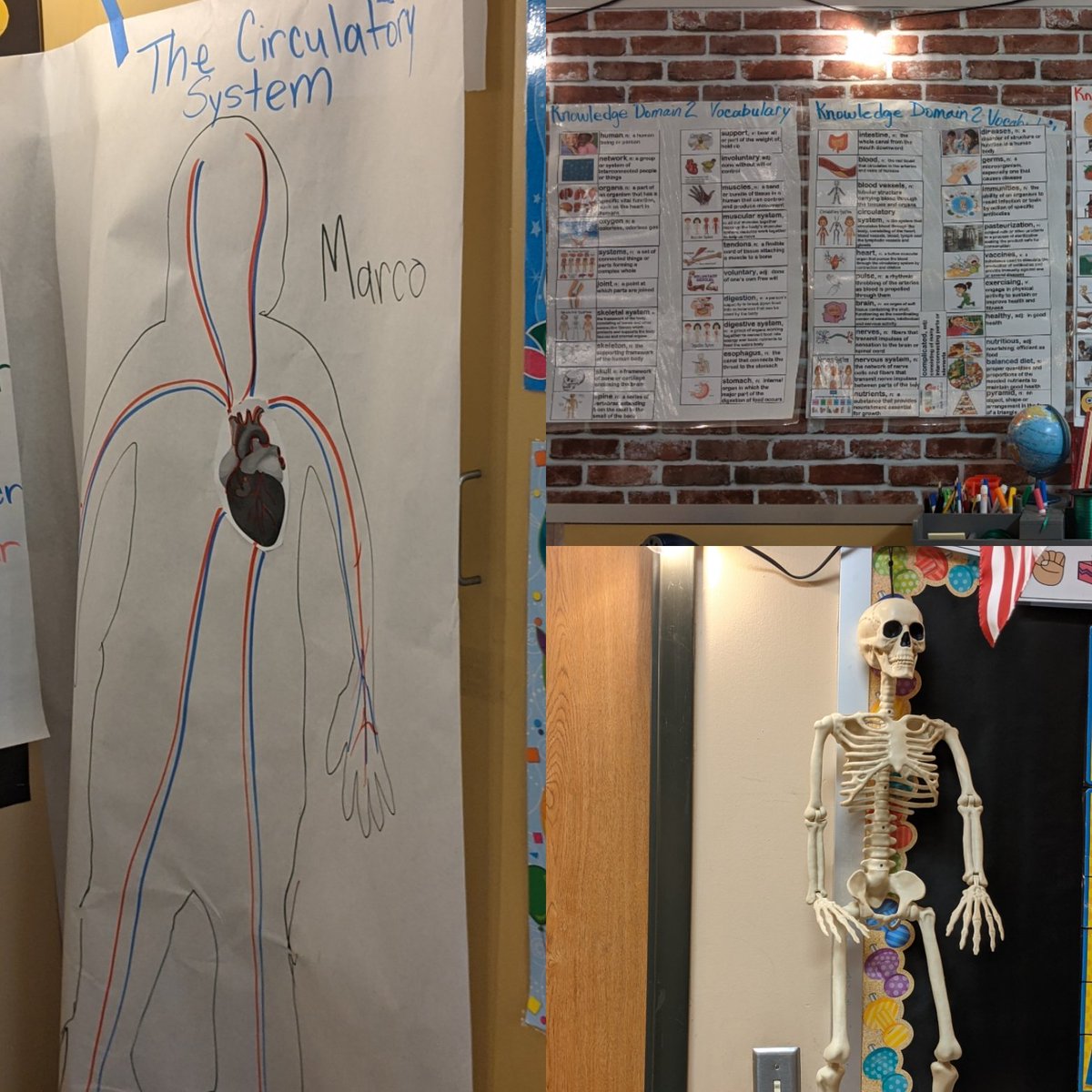 emytomita's tweet photo. @amplify #CKLA Grade 1 #HumanBody Look at @EvelynC75696383 & #CJackson's classroom @CarrollES_AISD Can you notice how much kids learned in this unit? @SerjioMedina @edwards_demedia @CurriculumMatrs @BarrsJamie https://t.co/x9HwGyUDJ5