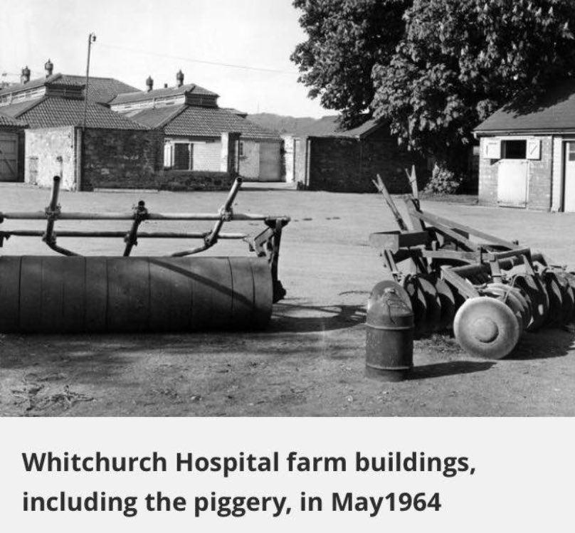 WhitchurchHosp's tweet photo. The farm was an important part of hospital life @WhitchurchHosp as it provided Occupational therapy and food
#OT
#hospitalfarm
1st photo from the Western Mail https://t.co/zHOa8EEzGp