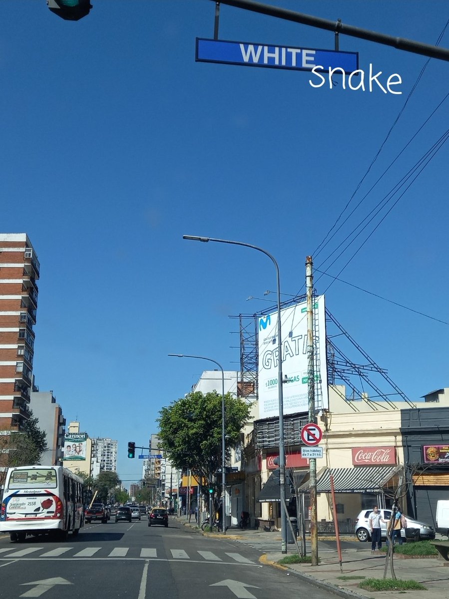 it's time to add "snake" to this street in Buenos Aires. <a href="/davidcoverdale/">David Coverdale</a> <a href="/Whitesnake/">Whitesnake</a>