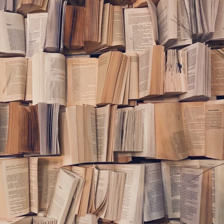 𝗦𝗛𝗔𝗗𝗘𝗦 𝗥𝗢𝗟 tweet media