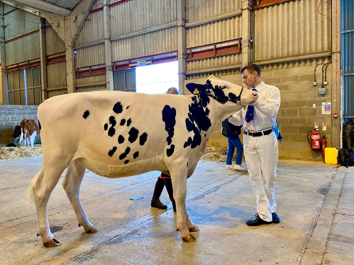 theshowground's tweet photo. ⌚Still a few hours left at Harfest! Come and enjoy the rare breeds in our farm buildings or pop into the indoor food hall! All the details https://t.co/3WvJYA116P
#norwich #norfolk #harfest https://t.co/SgresUWEyy