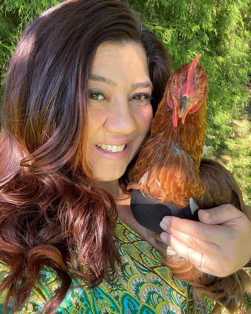 Have you hugged your chicken today?  They give the best hugs!!  Gertie is recovery from many crop problems and surgeries.  Check out Crops 101 to learn all about the chicken crop!  🤗🐓❤️☕️ coffeewiththechickenladies.com