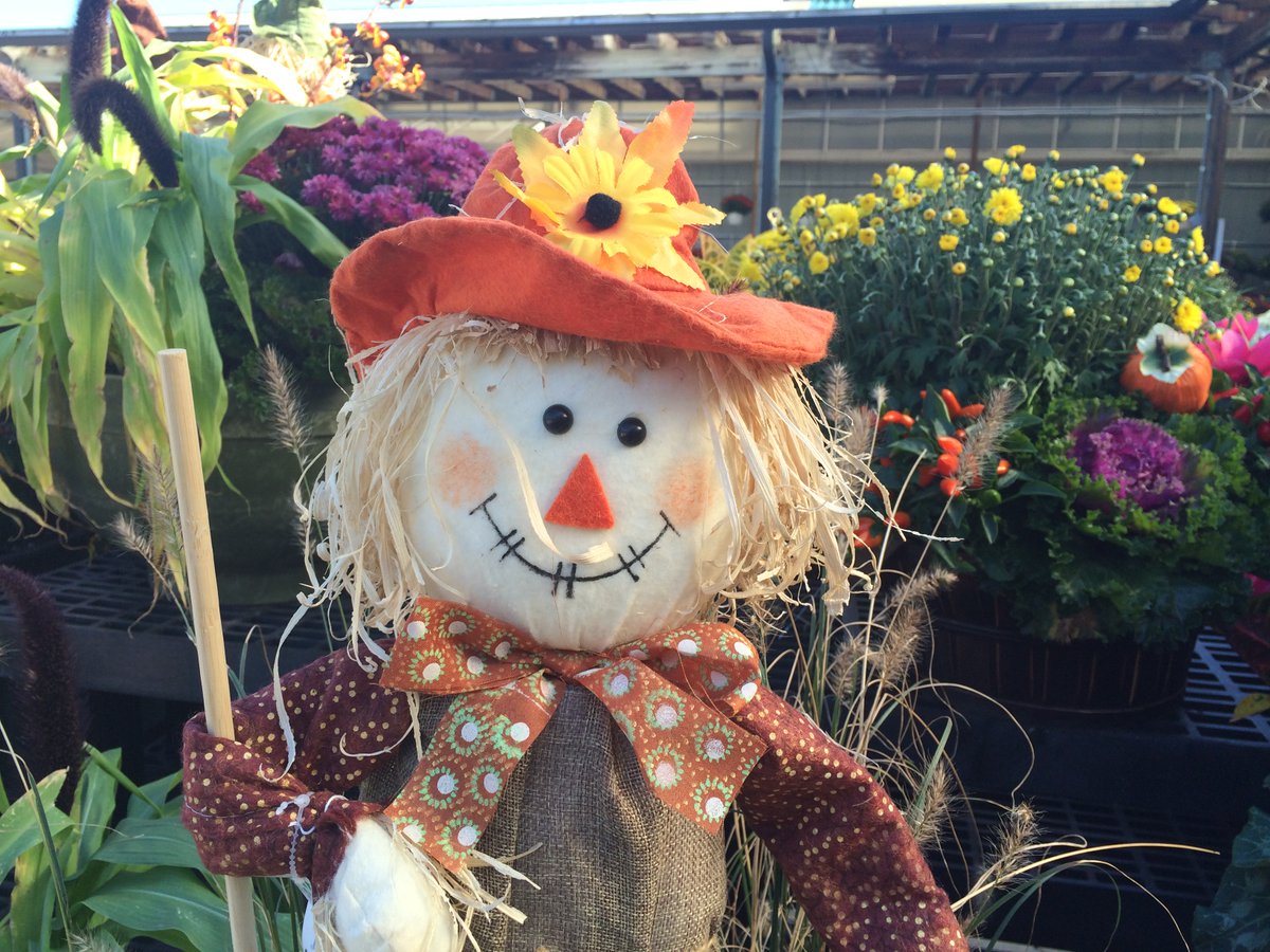 hicksnurseries's tweet photo. Celebrate autumn with a safe and free family experience at Hicks this weekend!
🌽Fall Food Favorites
🎃Animated Children's Story
👻Pictures with Otto
🍎Fresh NY State Apples, Pumpkins & more!
#hicksnurseries #westbury #nassaucountyny #suffolkcountyny #longisland #ottotheghost https://t.co/hnd0AYSG9y