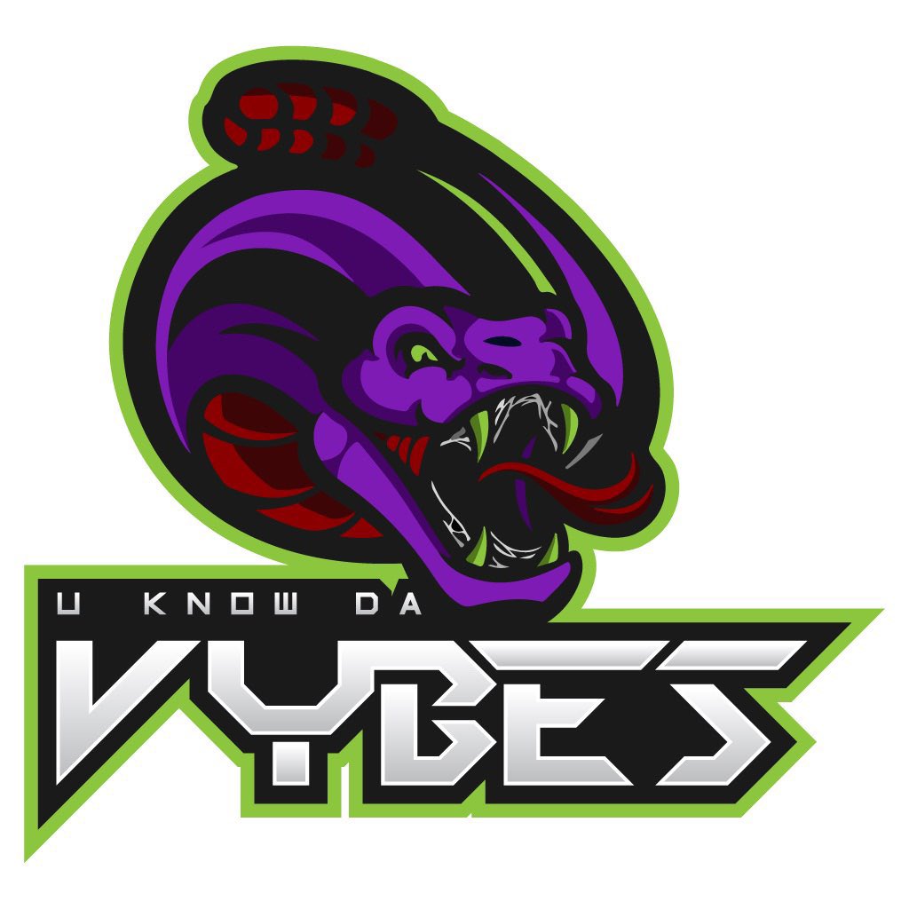 Elite Dynasty Sports League tweet media