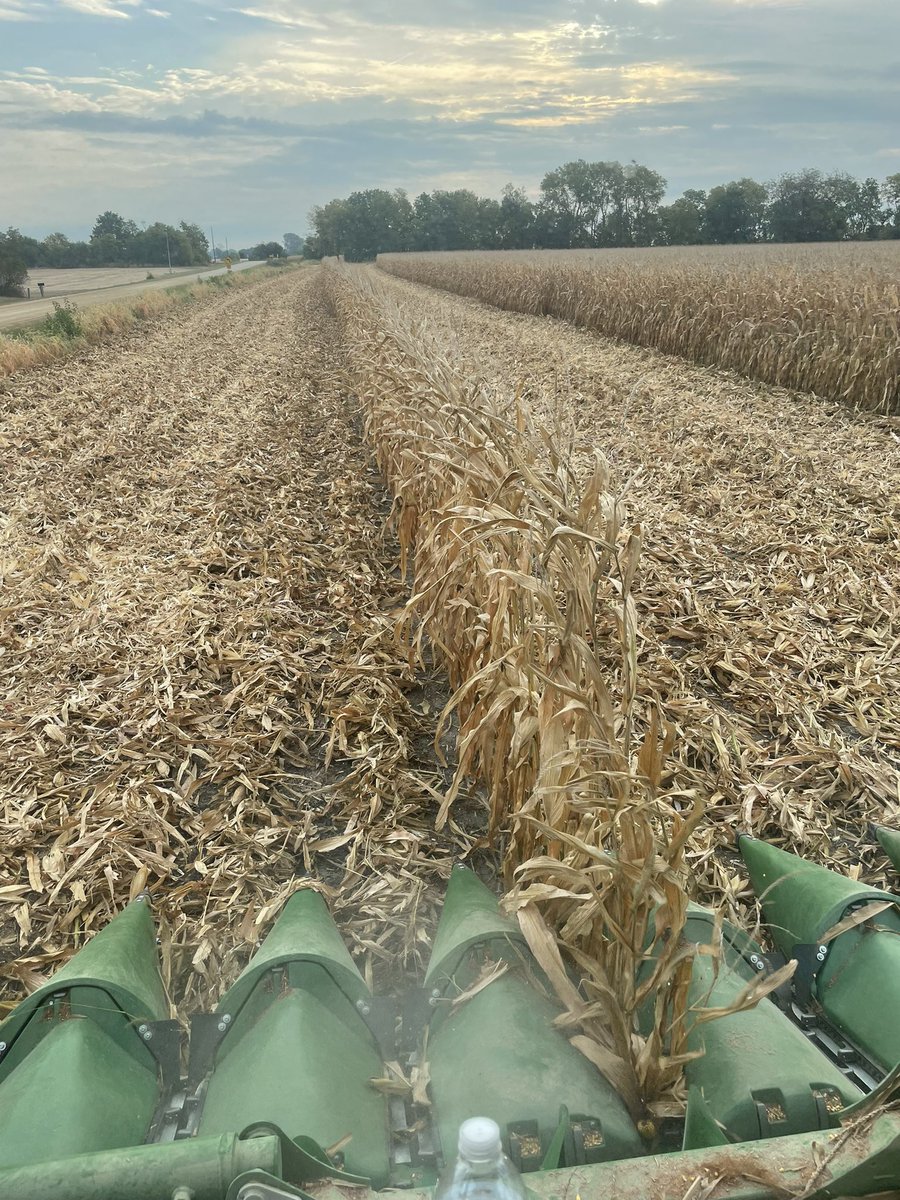 mdr4cy's tweet photo. The row of shame first thing in the morning. #countingishard #Harvest2021 https://t.co/P8g1GWugPY