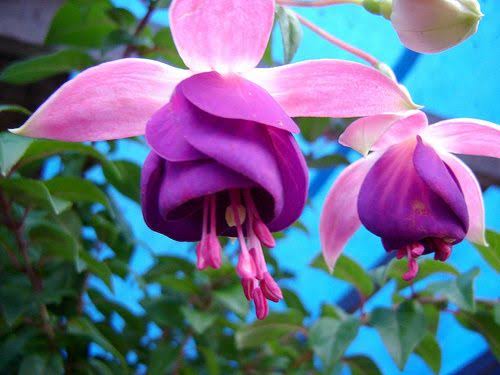 YO SE LO QUE QUIERO,
PERO SÓLO DIOS SABE LO QUE NECESITO!!