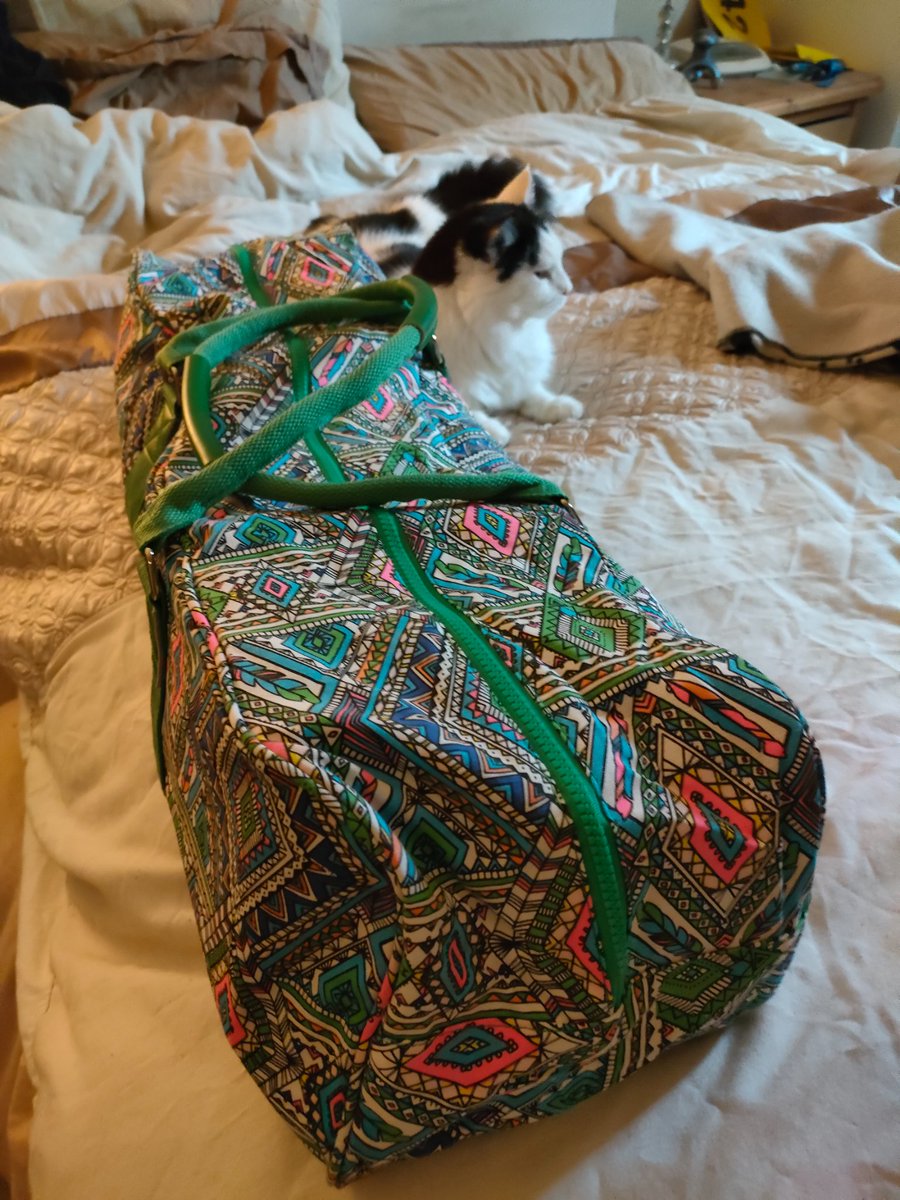 jaqtkd's tweet photo. Having to ease off the swimming due to an injured shoulder so have been attending #yoga/#pilates based classes. New bag and equipment arrived today and #robbierascal typically photobombed. https://t.co/Ra7JpI2Xo8