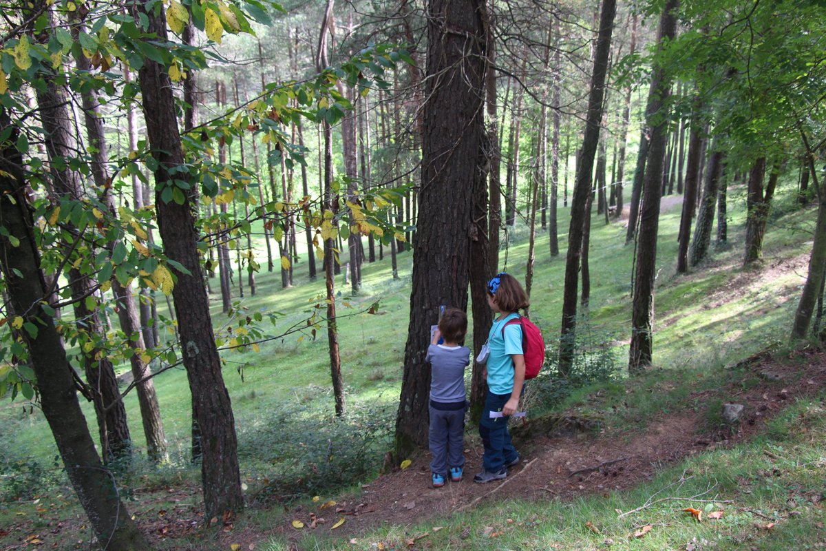 viajablog.com tweet media