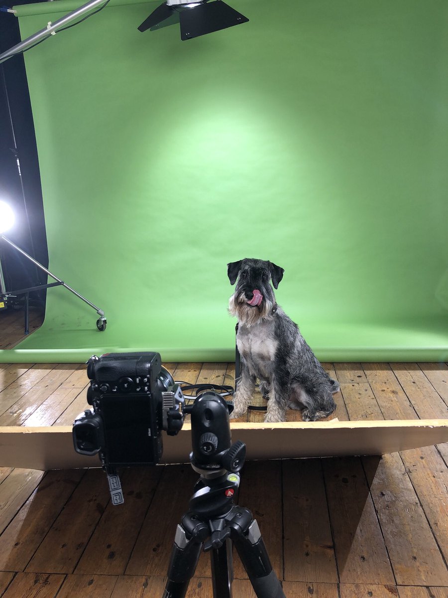 Uusi #kotimainen koiranruoka #smaak on lanseerattu ja oma rakas karvakuononi Dallas on pussin kyljessä 🙏🏻❤️ #avainlippu #mustijamirri #snautseri