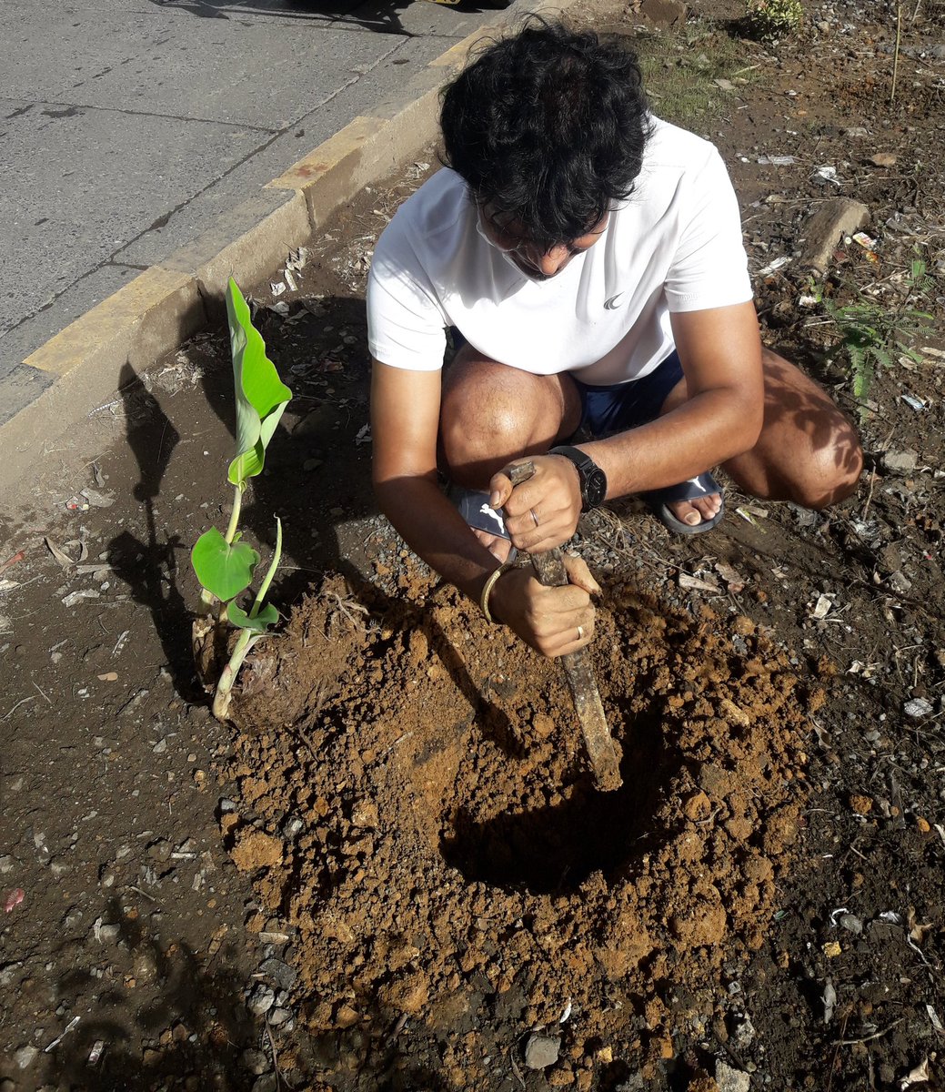 AshutoshSrijan's tweet photo. #2ndOctober Adding more plants in my drive🌱 #Plants4PlanetEarth
#Plantation in #Mumbai
Under flagship initiative of d #MithilaHouse & #ParamBinodNatureClub , plantation done by me as a tribute to the 2 great souls of Ma Bharati🇮🇳
#GandhiJayanti 🙏
#LalBahadurShastriJayanti 🙏 https://t.co/G8Y4ok1qlx