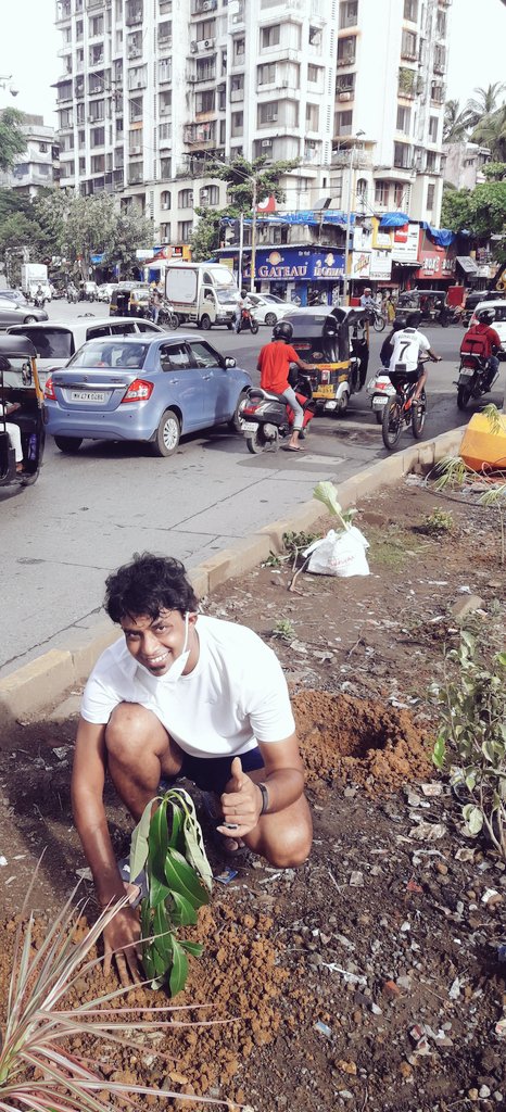 AshutoshSrijan's tweet photo. #2ndOctober Adding more plants in my drive🌱 #Plants4PlanetEarth
#Plantation in #Mumbai
Under flagship initiative of d #MithilaHouse & #ParamBinodNatureClub , plantation done by me as a tribute to the 2 great souls of Ma Bharati🇮🇳
#GandhiJayanti 🙏
#LalBahadurShastriJayanti 🙏 https://t.co/G8Y4ok1qlx