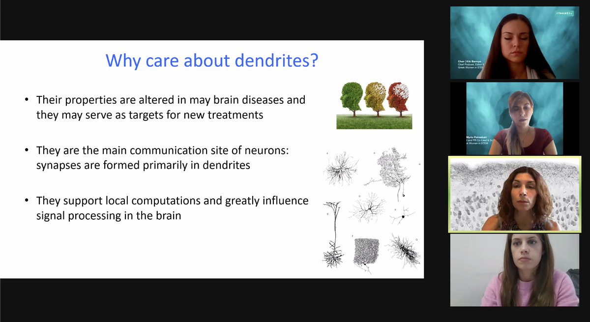 Kicking off the #Biosciences session <a href="/YiotaPoirazi/">Yiota Poirazi</a> gave us amazing input on Dendrites &amp; their contribution to 🧠 development 🎉 and how her #research has been developed on this particular field at <a href="/dendritesgr/">Poirazi Lab</a>
