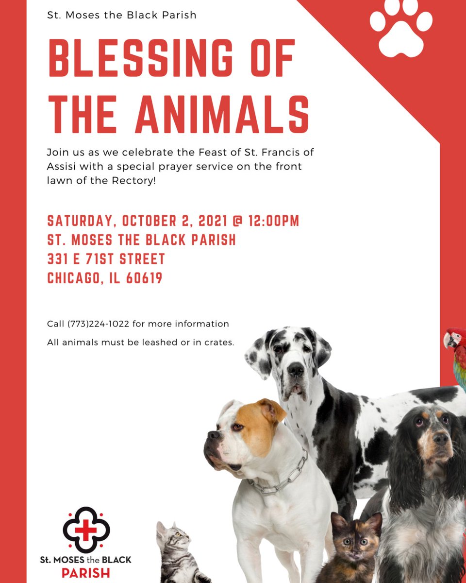 Bring your fur and feather babies and join us for the Blessing of the Animals today at 12pm! #petblessing