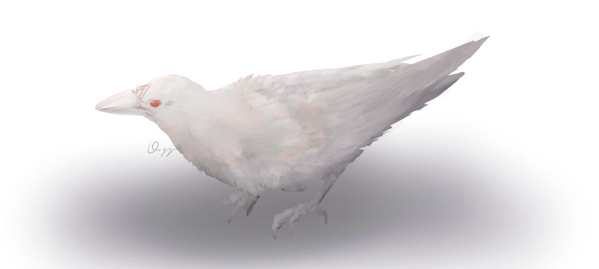 白いカラス #apex #illustration #イラスト #ブラッドハウンド #白いカラス