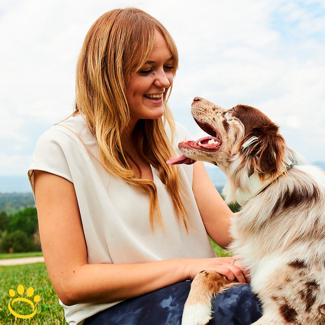 HaloCollar's tweet photo. It is National Animal Safety and Protection Month! Protect your pup with a Halo Collar. 🐾🐩🐕🐶
.
.
.
.
#halocollar #halocollars  #smartfence #dogcollar #noleashlife #cesarsway #positivetraining #dogbehavior #invisiblefence #offleash #dogislove #betterhumansbetterplanet https://t.co/46jpeej5yX