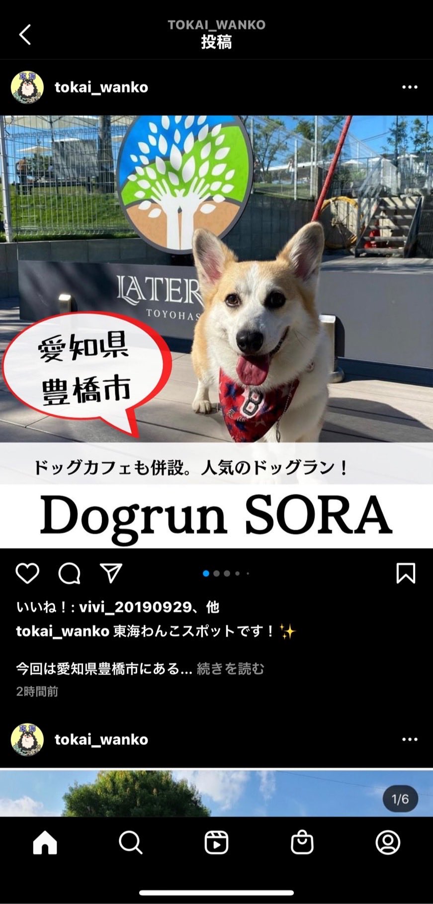 とくみつฅ ᴥ ฅえいと８ 私はインスタとやらはしてへんのですが 相方さんが載せたえいとの写真が宣伝に使って頂けたみたいです ー まだ始められたばかりのアカウントみたいですが 嬉しい コーギー コーギーのいる暮らし えいと８