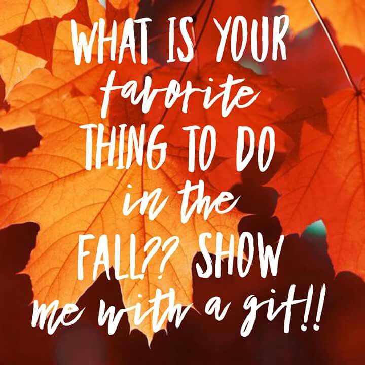 LifeChampMA's tweet photo. Our instructors are super excited for our halloween decorating contest this year 👻 What's your favorite thing to do during the fall season? Comment below with a gif 👇👇 https://t.co/ZEDdKKwOMO