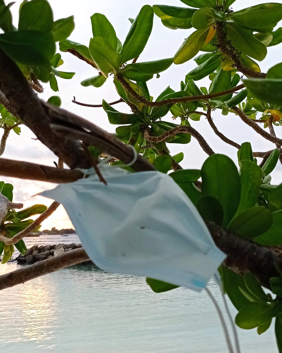 veshisaafu's tweet photo. Stop this madness #doyourshare #dontthrowmasks #veshisaafu https://t.co/0E68ed4GGD