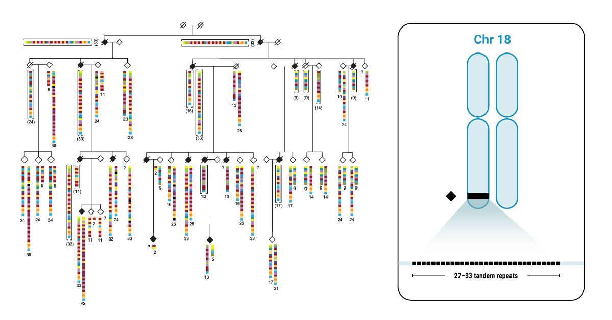 Did you know there are 40 tandem repeat expansions in the human genome known to cause neurological disease? #HiFiReads found one linked to #ALS. 

Check out our latest case study with <a href="/pvaldmanis/">Paul Valdmanis</a> to see how: pacb.com/smrt-sequencin… 

#sequencing #VNTR #casestudy