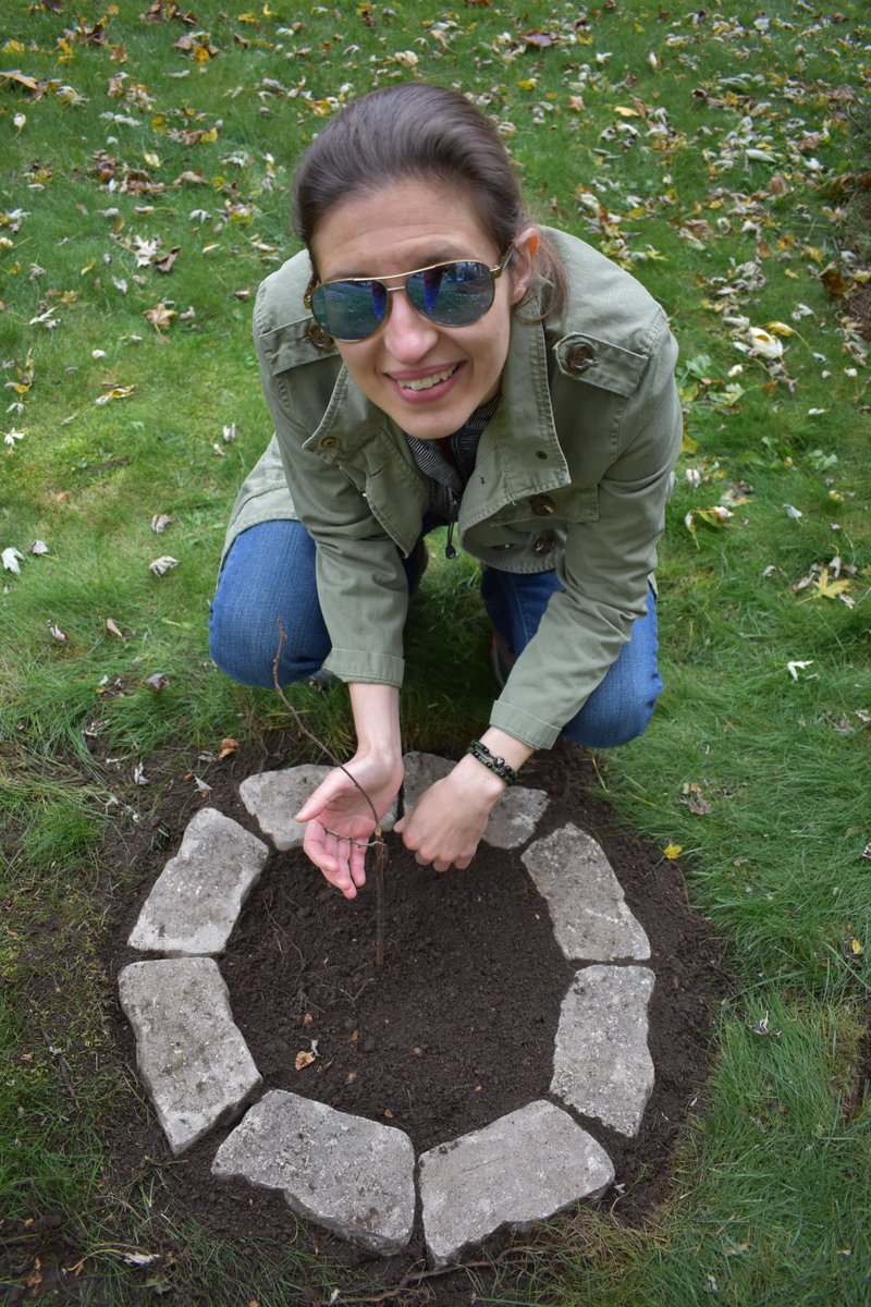 AuthorDeClark's tweet image. 🌳October Goals: #planttrees 🌳
Trees filter pollutants in the air, absorb carbon dioxide, release oxygen, help you save energy, and help reduce your carbon footprint. 
Autumn is a great time to plant one! 🍃🍂🍃🍂
#TimeForTrees  #TreesForOurPlanet #PWPoePrompts