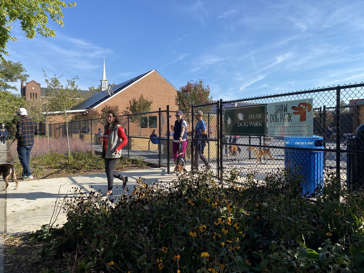 DCDPR's tweet photo. It’s a Super Shaggy Saturday as the NEW Shaw Dog is now OPEN! 🐾 Welcome to the PAWty! #WhereFunHappens https://t.co/I8yXAP3aCX