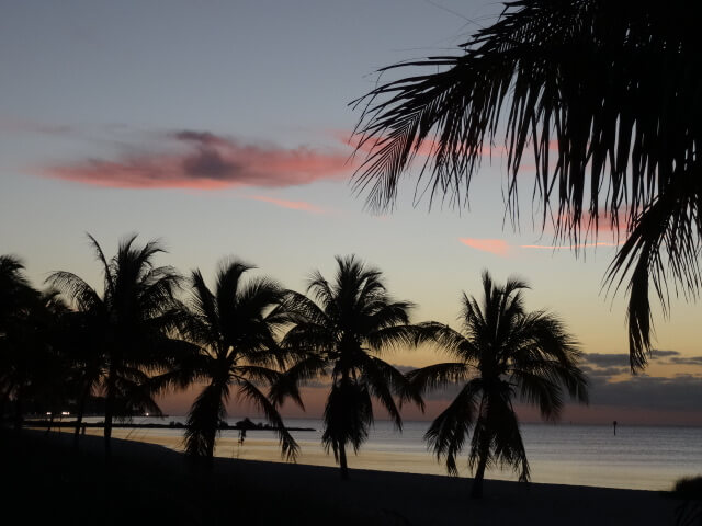 ExploreA1A's tweet photo. Key West Film Festival to Mark 10th Anniversary - https://t.co/XPpesesHLk https://t.co/JUAaSTnjAa
