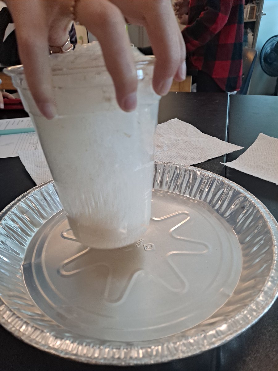 LauraIrvineTN's tweet photo. Testing endothermic &amp; exothermic reactions after our heat transfer unit. My room stank of vinegar &amp; yeast all day. Kids had so much fun! #sciencerules https://t.co/IrLTVA5hYw